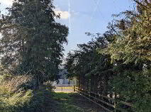 Photo 21 of Boley, Bawnboy