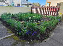 Photo 39 of 5 Chapel Street, Elphin