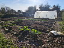 Photo 34 of 5 Chapel Street, Elphin