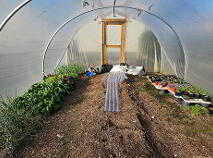 Photo 37 of 5 Chapel Street, Elphin