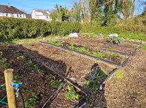 Photo 38 of 5 Chapel Street, Elphin