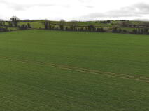 Photo 8 of Circa 14.75 Acres At, Newtownadam, Cahir, Co. Tipperary
