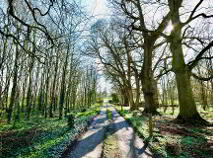 Photo 32 of Camas House, Camas, South, Bruff