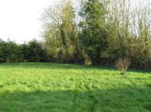 Photo 8 of Cromogue, Dromcollogher, Charleville