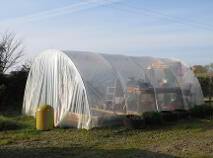 Photo 6 of Cromogue, Dromcollogher, Charleville