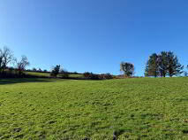 Photo 15 of Lackensillagh On 10.6 Acres, Aglish, Cappoquin