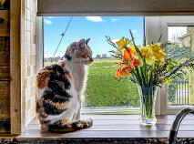 Photo 17 of Skyvalley, Taughmaconnell