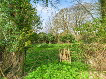 Photo 7 of 10.5 ACRES, Dangan, Summerhill