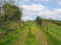 Photo 4 of Derelict Residence & 7.5 Acres, Baltrasna Oldcastle