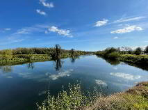 Photo 8 of The Gatekeepers Cottage, Affane, Cappoquin