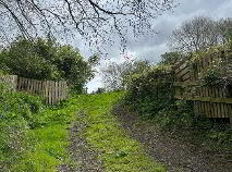 Photo 8 of House, And Circa 5.75 Acres At Kilmacomma, Clonmel