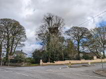 Photo 20 of Furnaceland, Swanlinbar