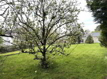 Photo 20 of Avonlea, New Road, Roscrea