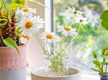 Photo 17 of 7 The Meadows, Kildavin Road, Myshall