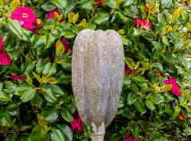 Photo 53 of 7 The Meadows, Kildavin Road, Myshall