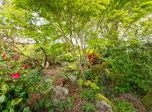 Photo 54 of 7 The Meadows, Kildavin Road, Myshall