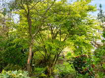 Photo 58 of 7 The Meadows, Kildavin Road, Myshall