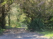 Photo 32 of Deerpark, Ballymacarbry