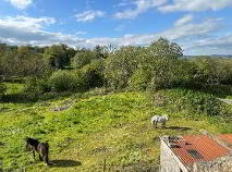 Photo 16 of Cappaghnagarrane, Mullinahone