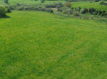 Photo 19 of Marahill, Kingscourt