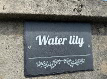 Photo 20 of Water Lily, Western Road, Clonmel