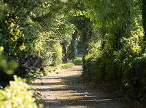 Photo 4 of Curraghmore House ( Glebe House), Borrisokane, Nenagh