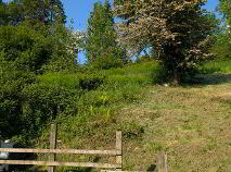 Photo 33 of 5 Railway Road, Cavan