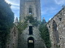 Photo 5 of Land And Church At St Johns, Tubrid, Ballylooby