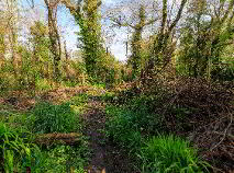 Photo 19 of Garraun, Lisnagry