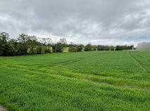 Photo 3 of Bough, Rathvilly