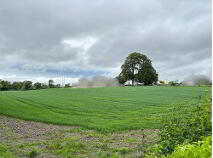 Photo 4 of Bough, Rathvilly