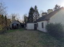 Photo 17 of Boley, Bawnboy