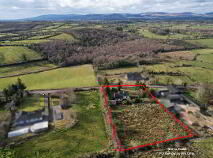 Photo 22 of Boley, Bawnboy