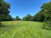 Photo 15 of Circa, 9.93 HA/24.54 Acres, At Laganore, Clonmel