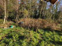 Photo 5 of Owengallis, Bawnboy