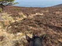 Photo 36 of Kyleatlea, Mullinahone