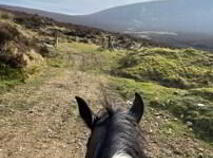 Photo 35 of Kyleatlea, Mullinahone