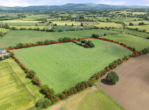 Photo 6 of Ricketstown, Rathvilly