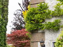 Photo 4 of Sunnyside, Old Lucan Road, Palmerstown
