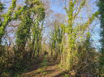 Photo 27 of Doogarry Td., Doogarry, Killeshandra