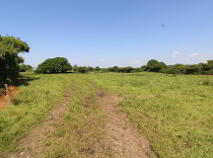 Photo 8 of Ballinderry, Nenagh
