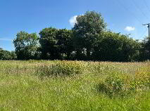 Photo 4 of Castlejohn, Windgap