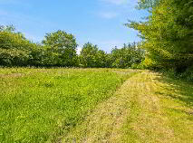 Photo 31 of Rathpierce Hill, Ballyfad, Gorey