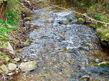 Photo 8 of Dun Na Sí, Bray Road, Enniskerry