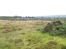 Photo 2 of Carrowreagh, Kilmactigue, Aclare