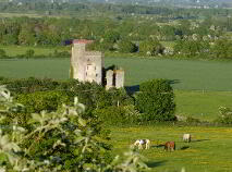 Photo 3 of Castlehill, Ballyadams, Athy, Kildare