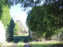 Photo 6 of Ballinlough Big, Kells