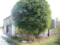 Photo 8 of Ballinlough Big, Kells