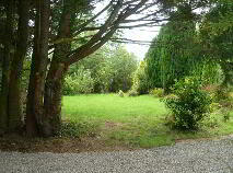 Photo 10 of Treetops, Carnaross, Kells