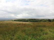 Photo 7 of Derevin, Partry, Mayo